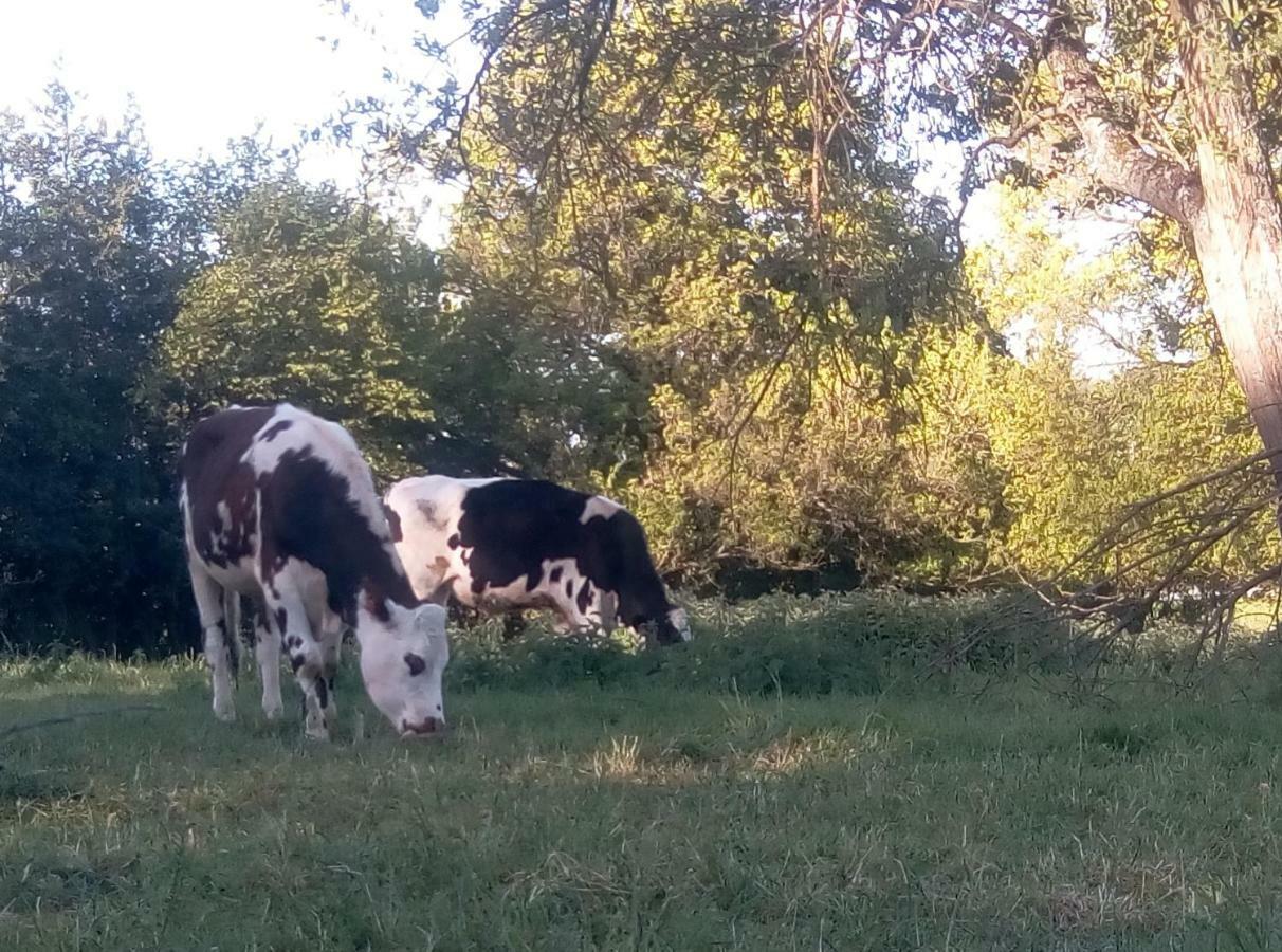 Le Gite Du Chene Rouvre Corbeil-Cerf Esterno foto