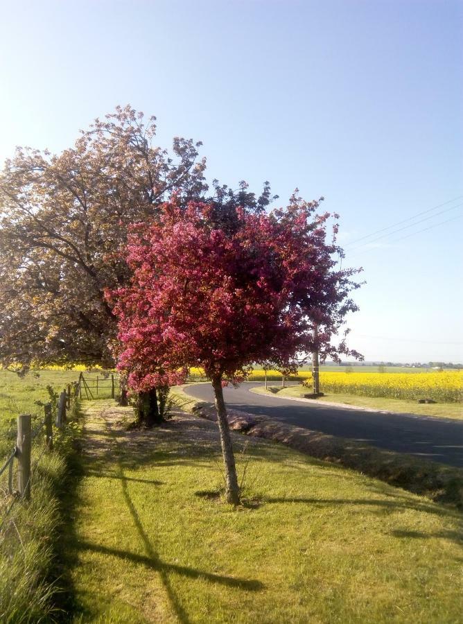 Le Gite Du Chene Rouvre Corbeil-Cerf Esterno foto