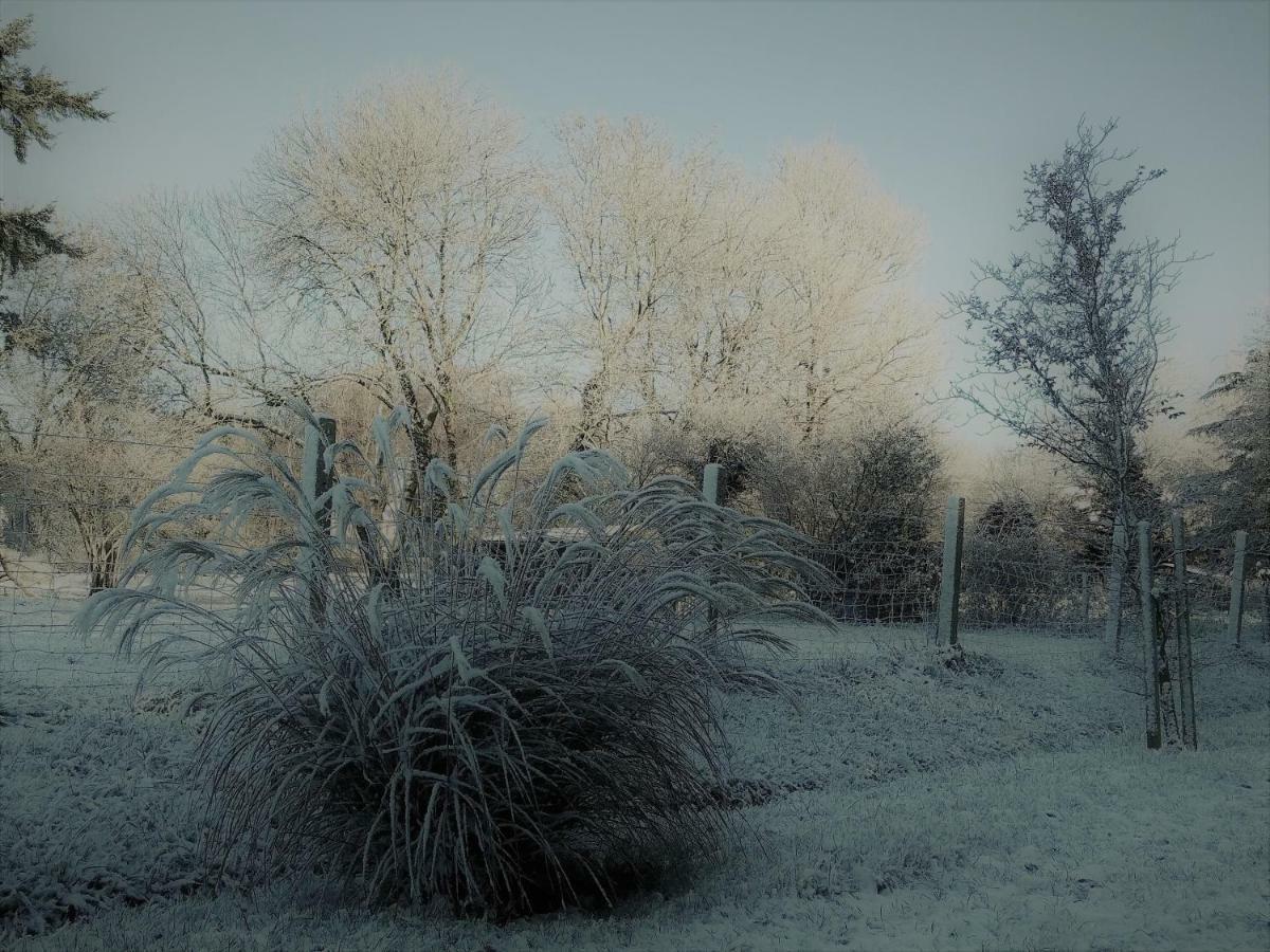 Le Gite Du Chene Rouvre Corbeil-Cerf Esterno foto